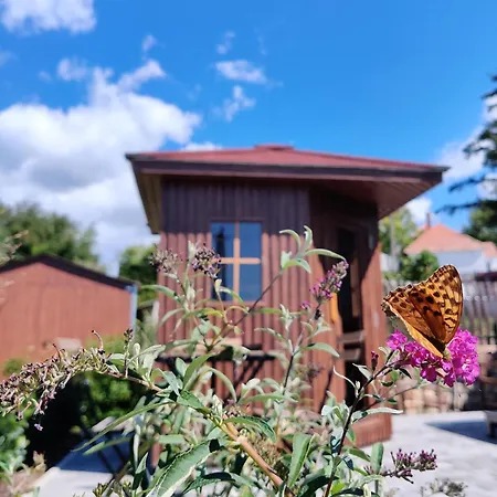 Palffy59 Vendeghaz Bed & Breakfast